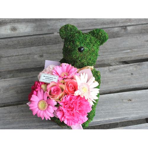 Moss�@Bear�@�v���X RP2