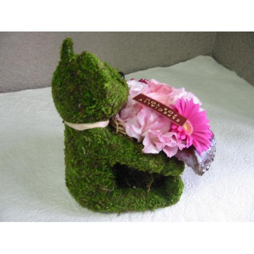 Moss�@Bear�@Pink�@�A�����W�����g3