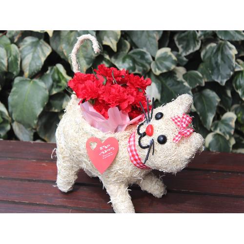 �q�L�����R �Ԕ� ���b�h2