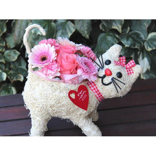 �q�L����� R �A�����W �v���X  Pink