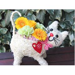 �q�L����� �A�����W  YO