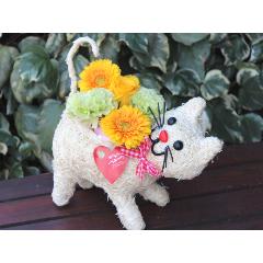 �q�L����� �A�����W  YO