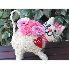 �q�L�����R  �A�����W  Pink