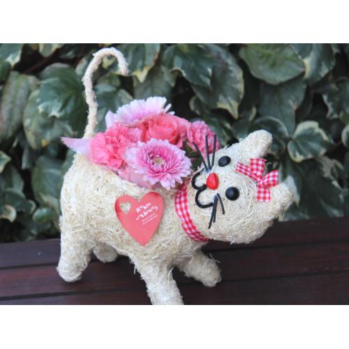 �q�L�����R  �A�����W  Pink
