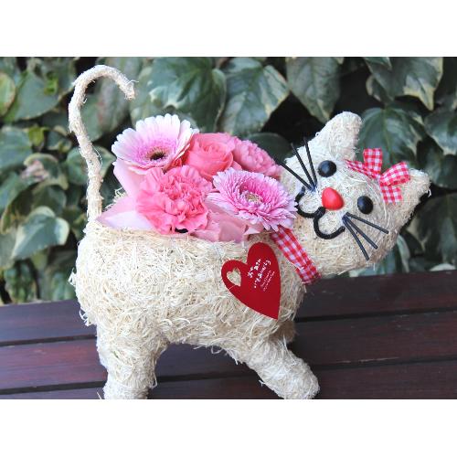�q�L�����R  �A�����W  Pink