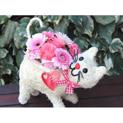 �q�L����� �A�����W �v���X  Pink