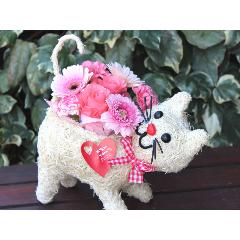 �q�L����� �A�����W �v���X  Pink