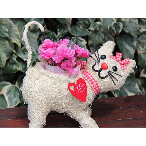 �q�L����� R �J�[�l�s���N2