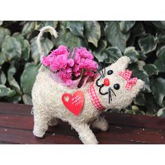 �q�L����� R �J�[�l�s���N