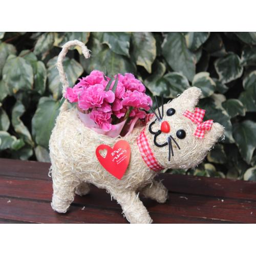 �q�L����� R �J�[�l �s���N