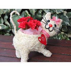 �q�L�����R �J�[�l���b�h