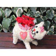���ʉ��i �q�L�����R �J�[�l ���b�h