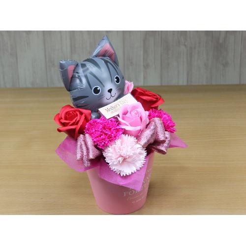 �T�o�V���L�̃o���[���ƃt���O�����X�t�����[RP2