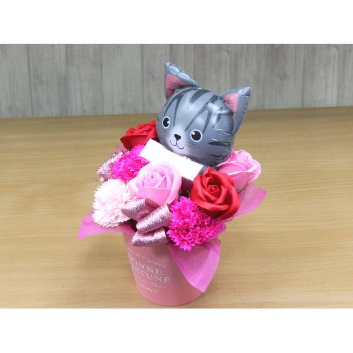 �T�o�V���L�̃o���[���ƃt���O�����X�t�����[RP2