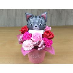 �T�o�V���L�̃o���[���ƃt���O�����X�t�����[RP