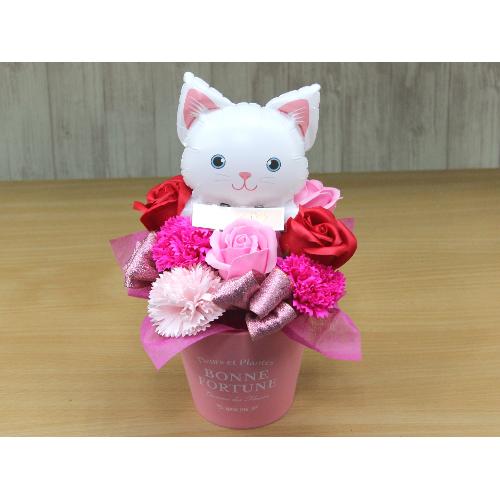 �V���L�̃o���[���ƃt���O�����X�t�����[RP2