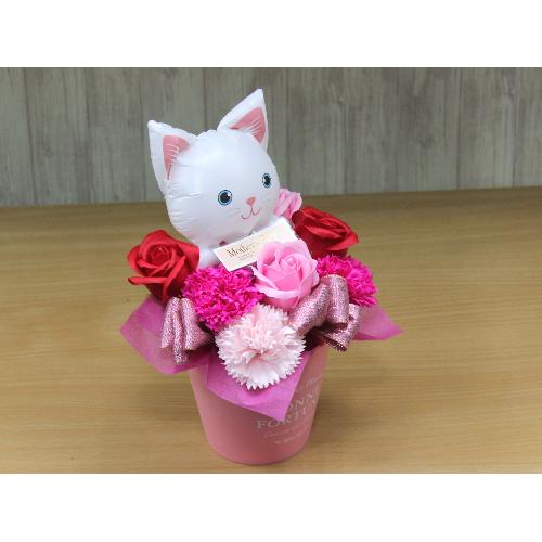 �V���L�̃o���[���ƃt���O�����X�t�����[RP3