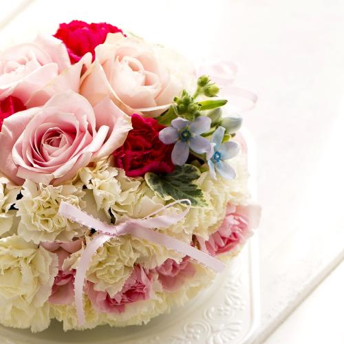 �P�[�L�A�����W�����g�u�h�[���v2