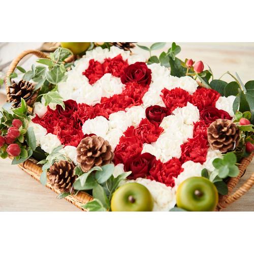 �i���o�[�A�����W�����g�u20�v���b�h5