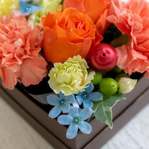 �o���[���A�����W�u���u���[�X�}�C���v���u���E��Box�t�����[�I�����W4