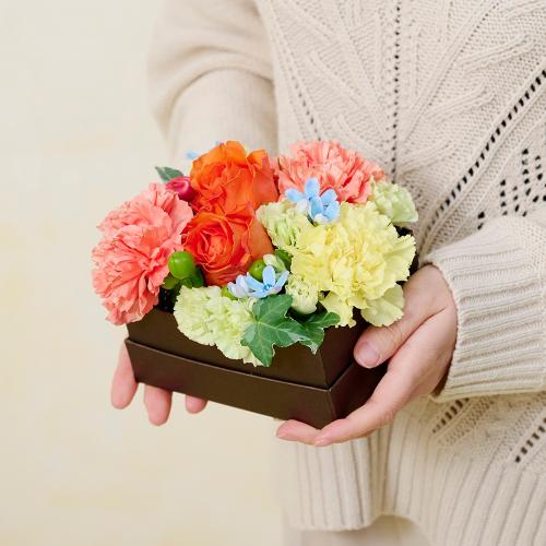 �o���[���A�����W�u���u���[�X�}�C���v���u���E��Box�t�����[�I�����W6