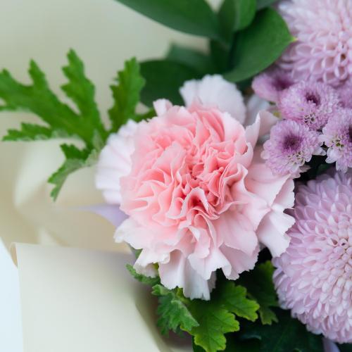 �F����̂������u�W�n�̍��v�����̂܂܏���邨�����u�[�P�Z�b�g6