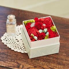 �v���U�[�u�h�t�����[BOX(���b�h)