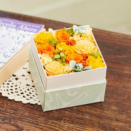 �v���U�[�u�h�t�����[BOX(�C�G���[�I�����W)