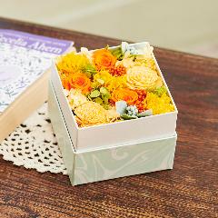 �v���U�[�u�h�t�����[BOX(�C�G���[�I�����W)