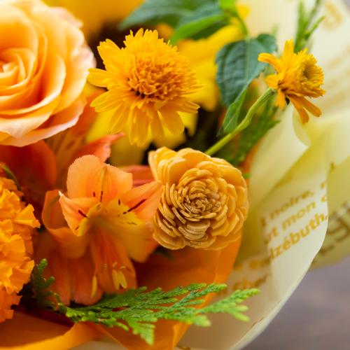 �A���}����t�����[�M�t�g�yFloma essential�z���F�E�I�����W�n�@Refresh�\���t���b�V���\2