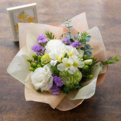 �A���}����t�����[�M�t�g�yFloma essential�z�z���C�g�n�@Sympathy�\�V���p�V�[�\