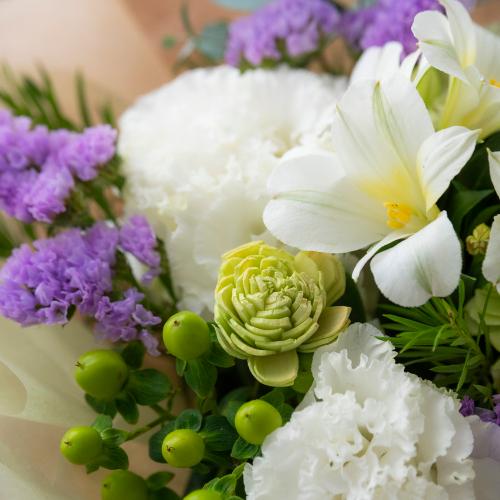 �A���}����t�����[�M�t�g�yFloma essential�z�z���C�g�n�@Sympathy�\�V���p�V�[�\2