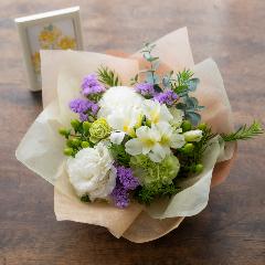 �A���}����t�����[�M�t�g�yFloma essential�z�z���C�g�n�@Sympathy�\�V���p�V�[�\