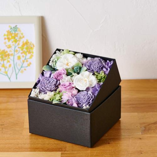 �A���}����t�����[�M�t�g�yFloma essential�z������BOX��M��Sympathy�\�V���p�V�[�\