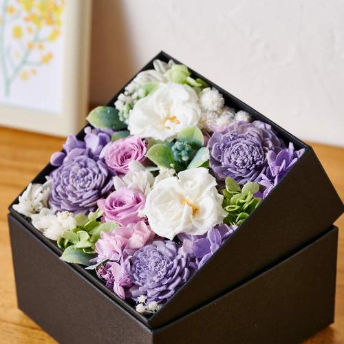 �A���}����t�����[�M�t�g�yFloma essential�z������BOX��M��Sympathy�\�V���p�V�[�\4