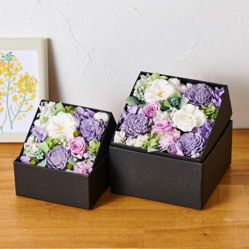 �A���}����t�����[�M�t�g�yFloma essential�z������BOX��M��Sympathy�\�V���p�V�[�\5