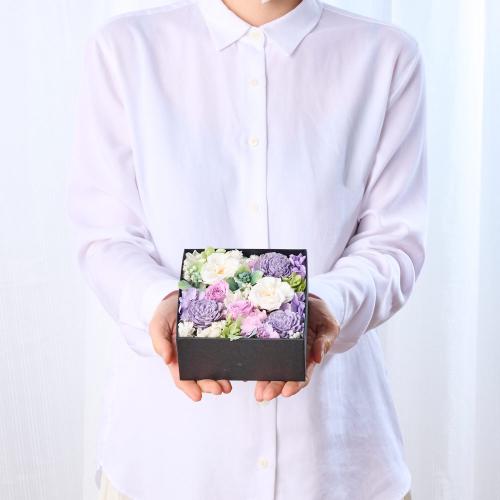 �A���}����t�����[�M�t�g�yFloma essential�z������BOX��M��Sympathy�\�V���p�V�[�\7