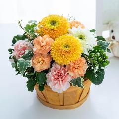 �y�b�g�����̃������A���t�����[�i�A�v���R�b�g�j