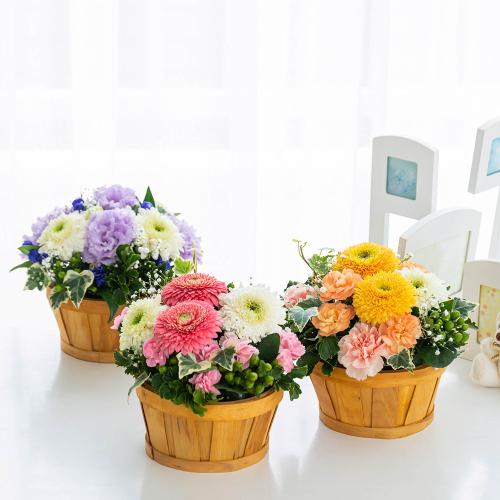 �y�b�g�����̃������A���t�����[�i���u���[�s���N�j6