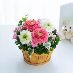 �y�b�g�����̃������A���t�����[�i���u���[�s���N�j