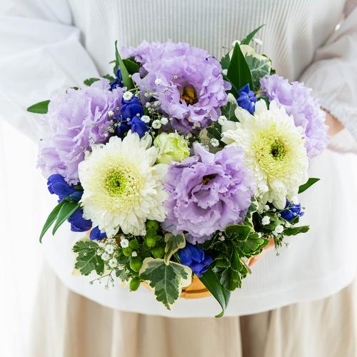 �y�b�g�����̃������A���t�����[�i�X�C�[�g�p�[�v���j7