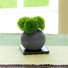 �yCUPBON/�J�b�v�{���z�w�Y�{�[���@�}����