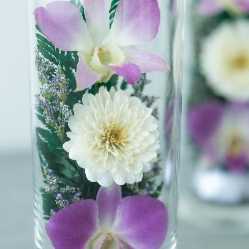 �K���X�P�[�X����h���C�t�����[���ԁ@�p�[�v��L�T�C�Y1��4