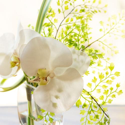 �E�H�[�^�[����Ӓ������O���[��S�T�C�Y���A�[�e�B�t�B�V�����A�����W��2
