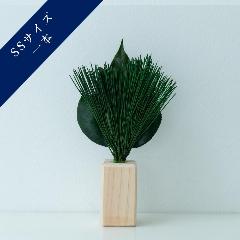 �v���U�[�u�h�r�_���@��t�@SS�T�C�Y