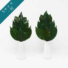 �v���~�A���v���U�[�u�h�� S�T�C�Y�i1�΁j