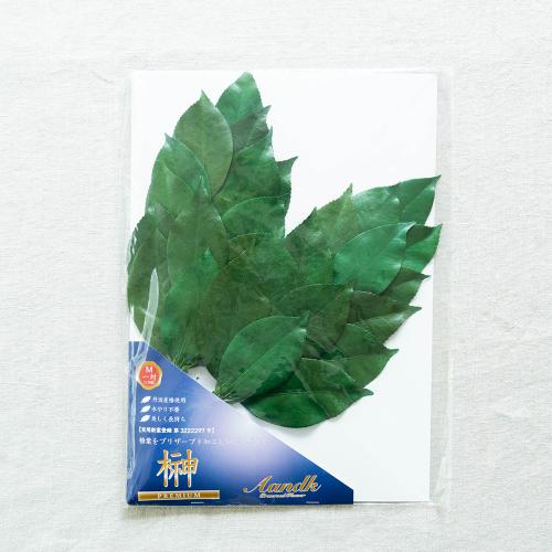 �v���~�A���v���U�[�u�h�� M�T�C�Y�i1�΁j4