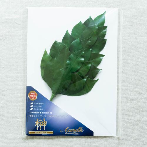 �v���~�A���v���U�[�u�h�� M�T�C�Y�i�{�����[����1���j5