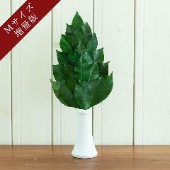 �v���~�A���v���U�[�u�h�� M�T�C�Y�i�{�����[����1���j