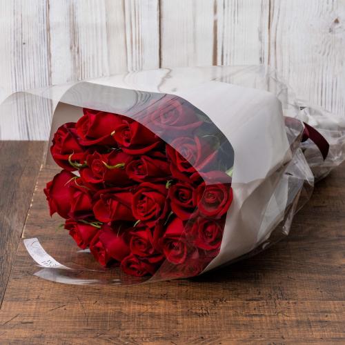 �z�V�t�@�[���@�o���u�[�P�@���[�W���@20�{